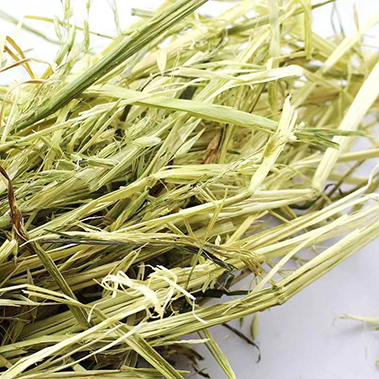 燕麦草.jpg