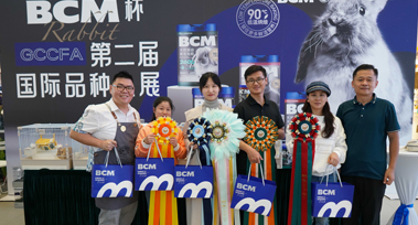 图层 15.jpg